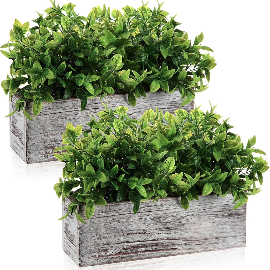 Set of 2 11.4" Whitewashed Artificial Eucalyptus Plants