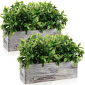 Set of 2 11.4" Whitewashed Artificial Eucalyptus Plants
