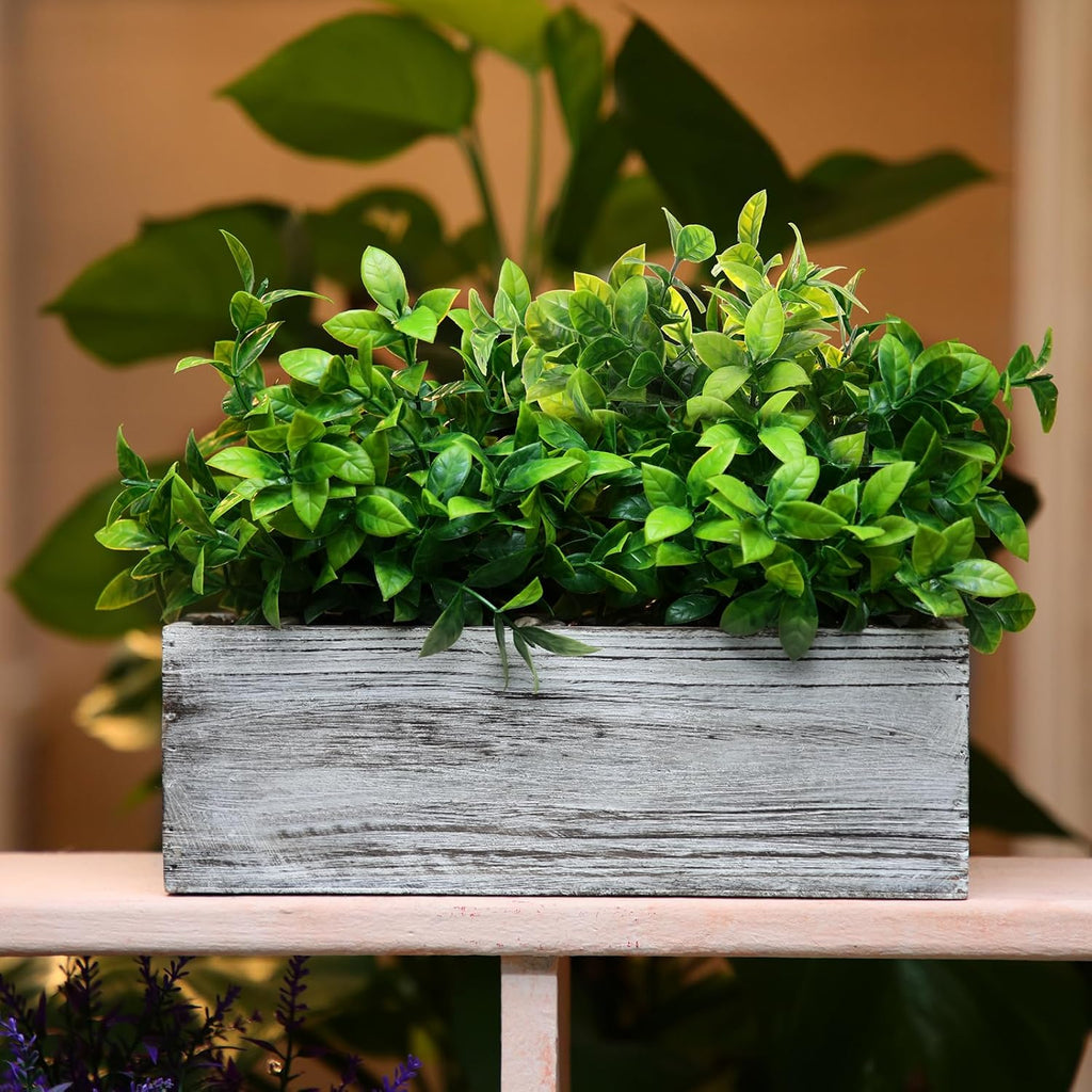 Set of 2 11.4" Whitewashed Artificial Eucalyptus Plants