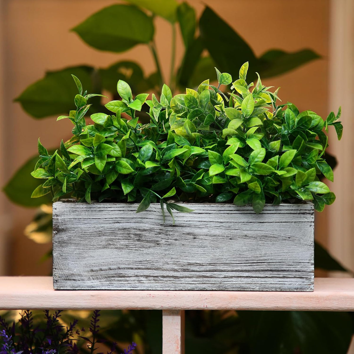 Set of 2 11.4" Whitewashed Artificial Eucalyptus Plants
